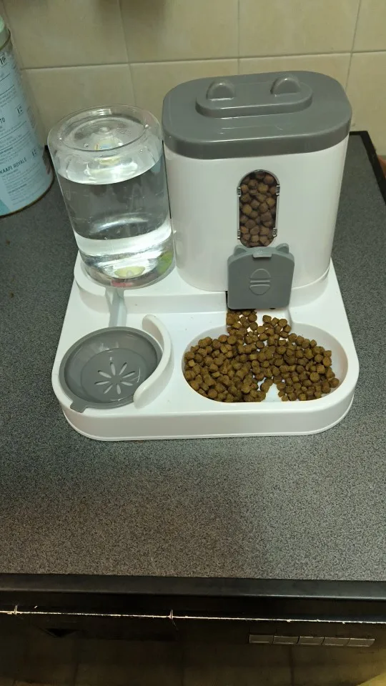 Automatic Feeder Dog Cat Food Bowl With Water Fountain Large Capacity Pet Food Storage Dispenser Container Puppy Pet Accessories photo review