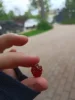 Изображение товара 2
