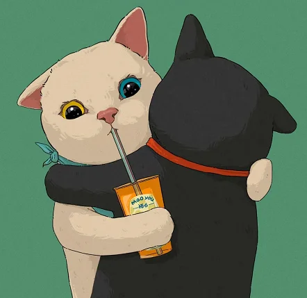 T-shirt sportswear store Store