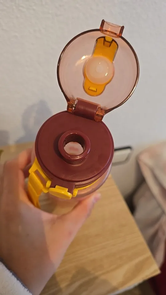 Gourde d'Eau CAPYBARA Rose 750ml