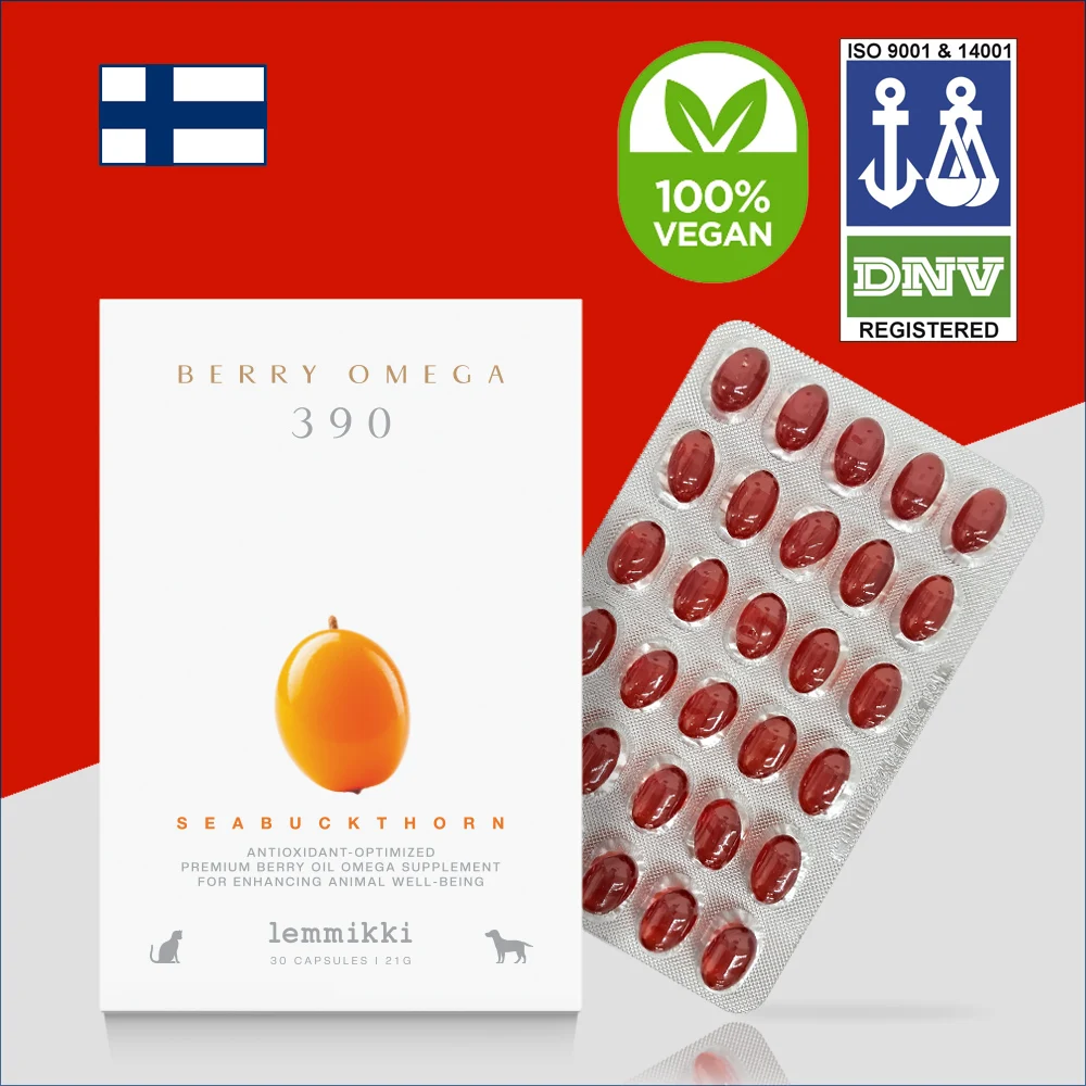 렘미끼 씨벅톤베리 강아지 노양이 노화방지 오메가영양제 