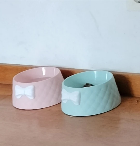 Cute Decorative Feeder Bowl for Small Cats and Dogs, Shockproof Design with Knot Decor, Making Mealtime Fun and Safe for Your Pet photo review