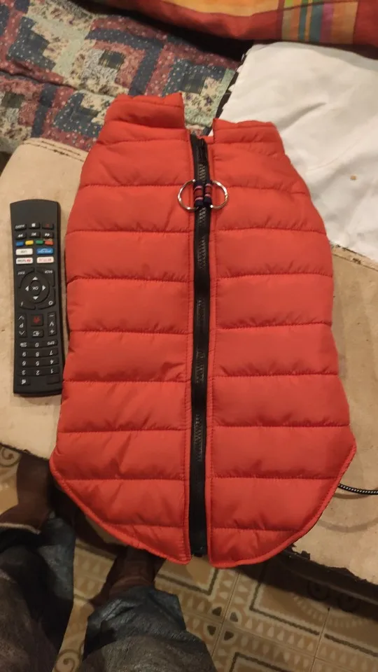 Cozy Clothing for Small to Medium Dogs and Cats, Perfect for Chihuahuas and French Bulldogs photo review