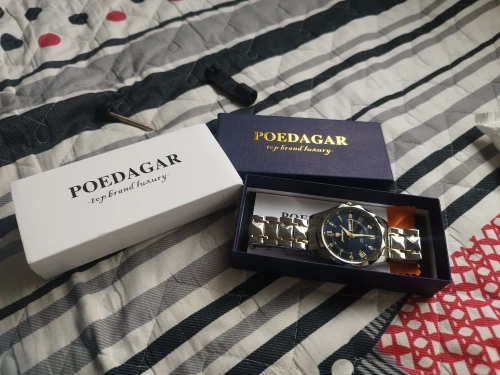 POEDAGAR Luxury Man Wristwatch photo review