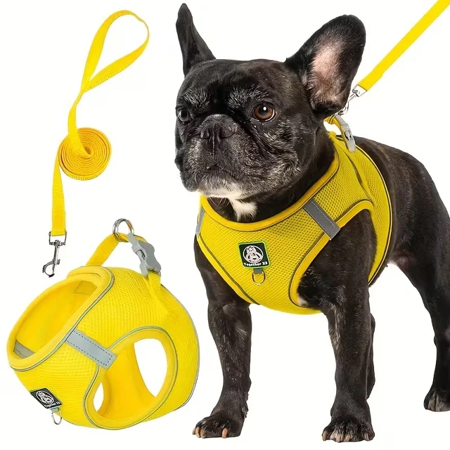 [Dog Walking Harness] 601 Small And Medium Dog Walking Harness + Leash Set 2pcs, Without Battery 5