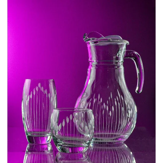 

Decocia Pudgy 13 Piece Water and Soft Drink Set Vega Patterned