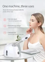 Ozone Facial Steamer Warm Mist Humidifier for Face Deep Cleaning Vaporizer Sprayer Salon Home Spa Skin Care Whitening 3