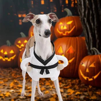 Dog Costume 3