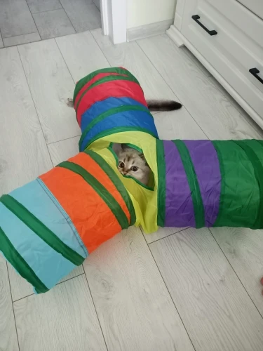 Cat Tunnel Foldable Cat Tunnel Pet Supplies Cat S T Y Pass Play Tunnel Cat Toy photo review