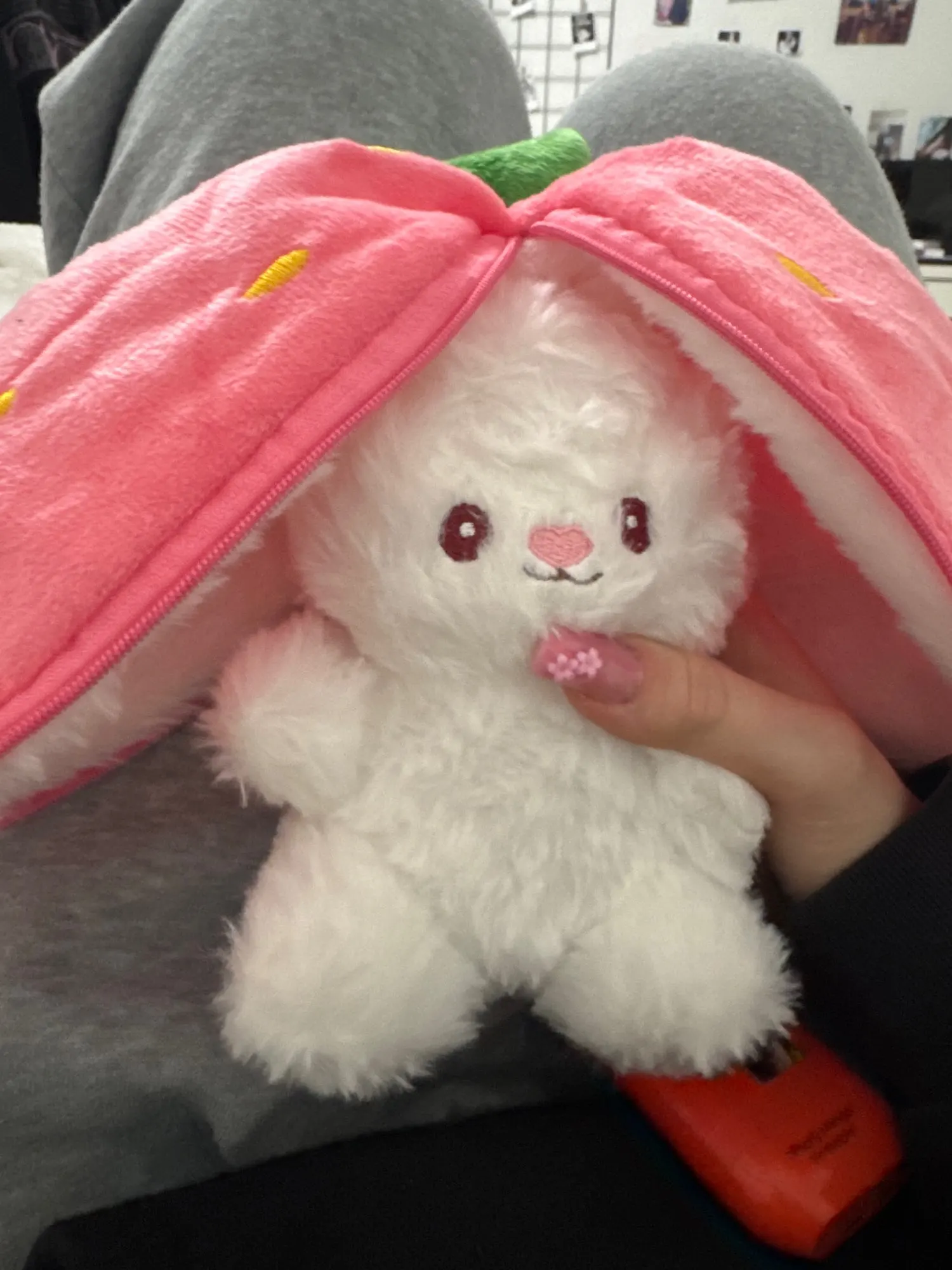 Berry Buns, Transforming Strawberry & Carrot Bunny Plush