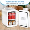 iPower Mini 4L/6 Tank Portable Small Refrigerator Refrigerator and Insulated Compact Refrigerator for Bedroom, Dormitory, Office 4