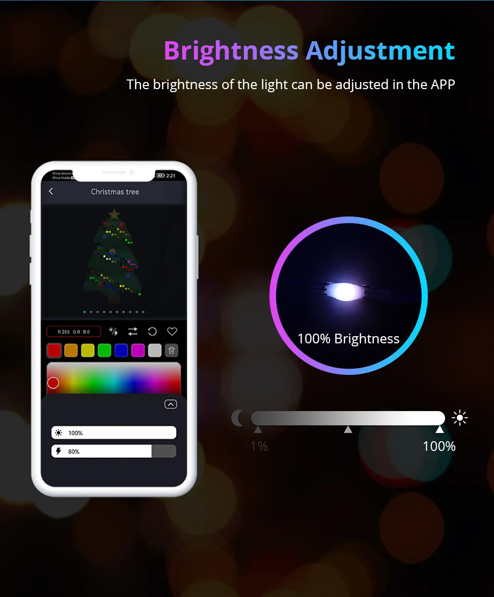 BLE RGB Fairy String Light for Christmas Tree Party 5m 10m Dreamcolor LED Strip