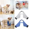 New Pets Knee Pads Dog Elbow Protection Clothes Golden Retriever Labrador Front Leg Joint Protector Keep Away From Dirt And Dust 4