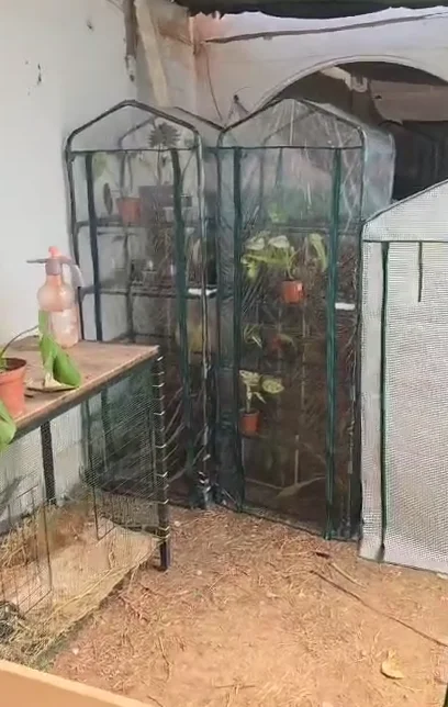 Garden Greenhouse Cover Durable Plant Cover 2/3/4/5 Tier PVC Warm Plant Grow Protect Green House PVC Cover Without Iron Rack photo review