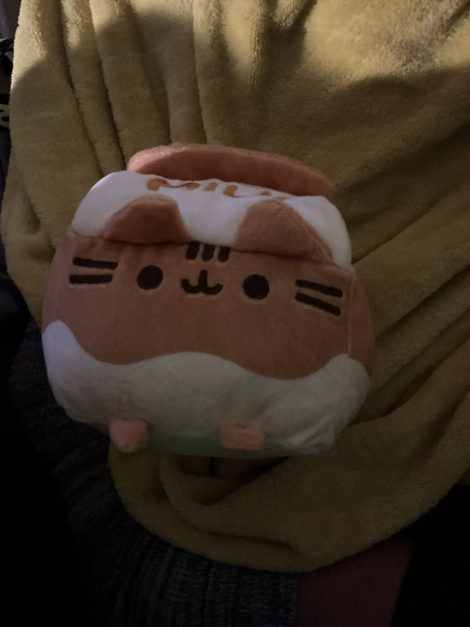 Pusheen Plushies - Dessert Edition photo review
