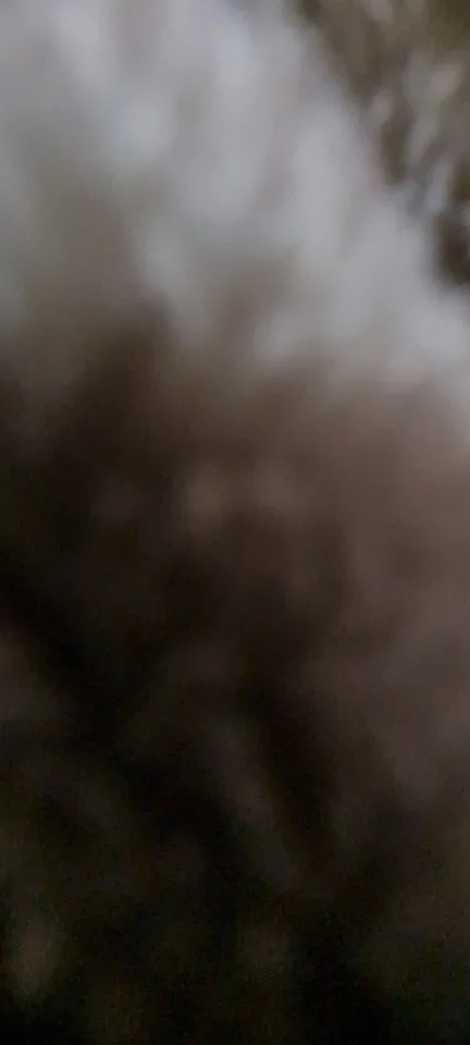 Abaya à lacets manches maroc décontracté photo review