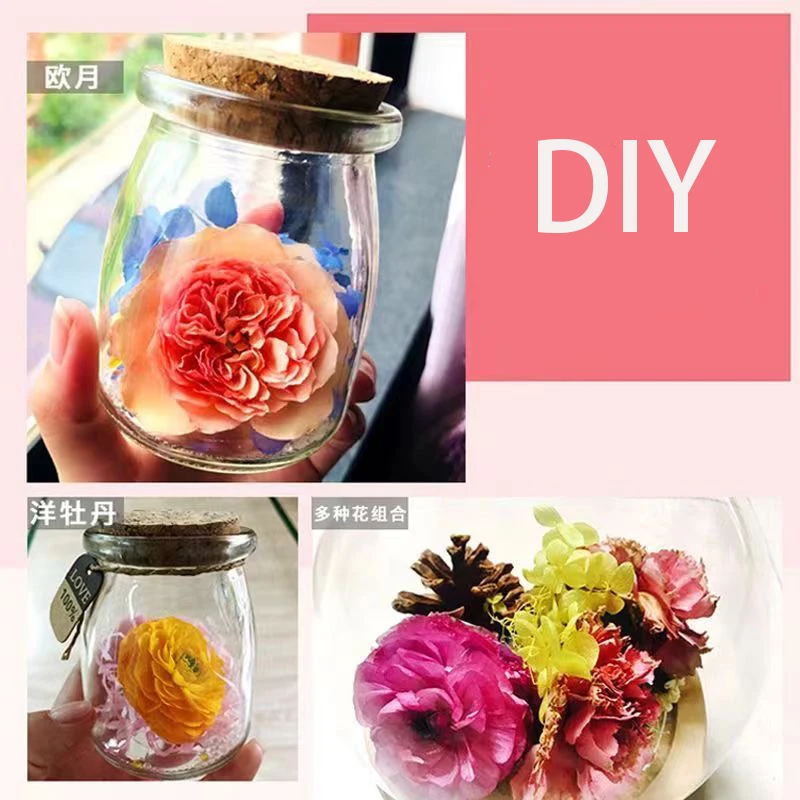 1000g Herbarium Moisture Absorbers Reusable Silica Gel Sand Desiccant for Flower Drying DIY Craft