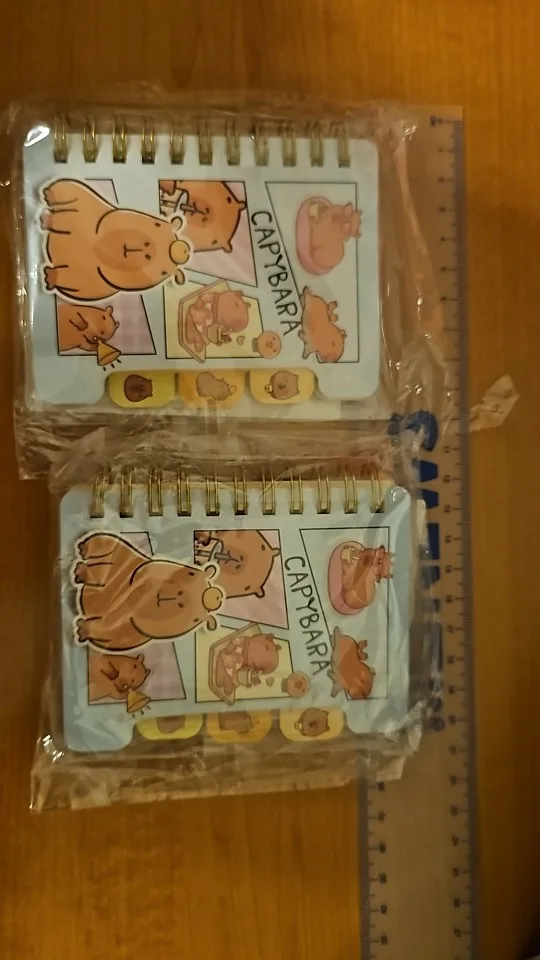 Capybara Notebook Collection photo review
