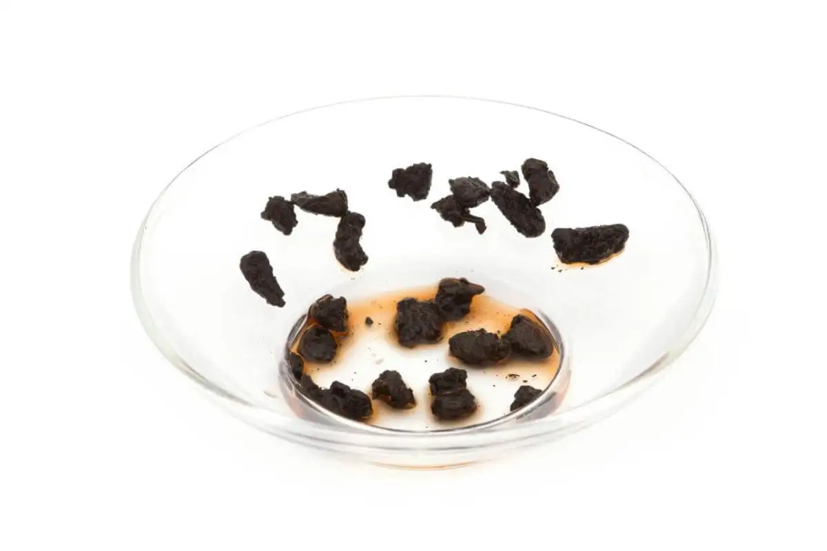 Рисунок 5 - Чахуаши (чайная окаменелость) (500