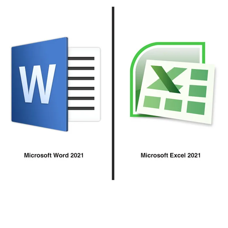 Рисунок 3 - Microsoft Office 2021 Pro Plus