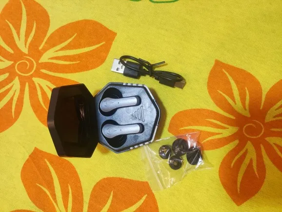 Wireless Gaming In-Ear Headset, Low-Latency, Type-C Charging Case