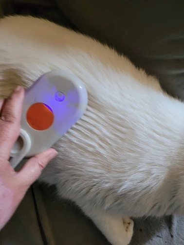 Escova Elétrica 3 em 1 para Pêlos e Massagem de Gatos e Cães IZEPET STEAM photo review