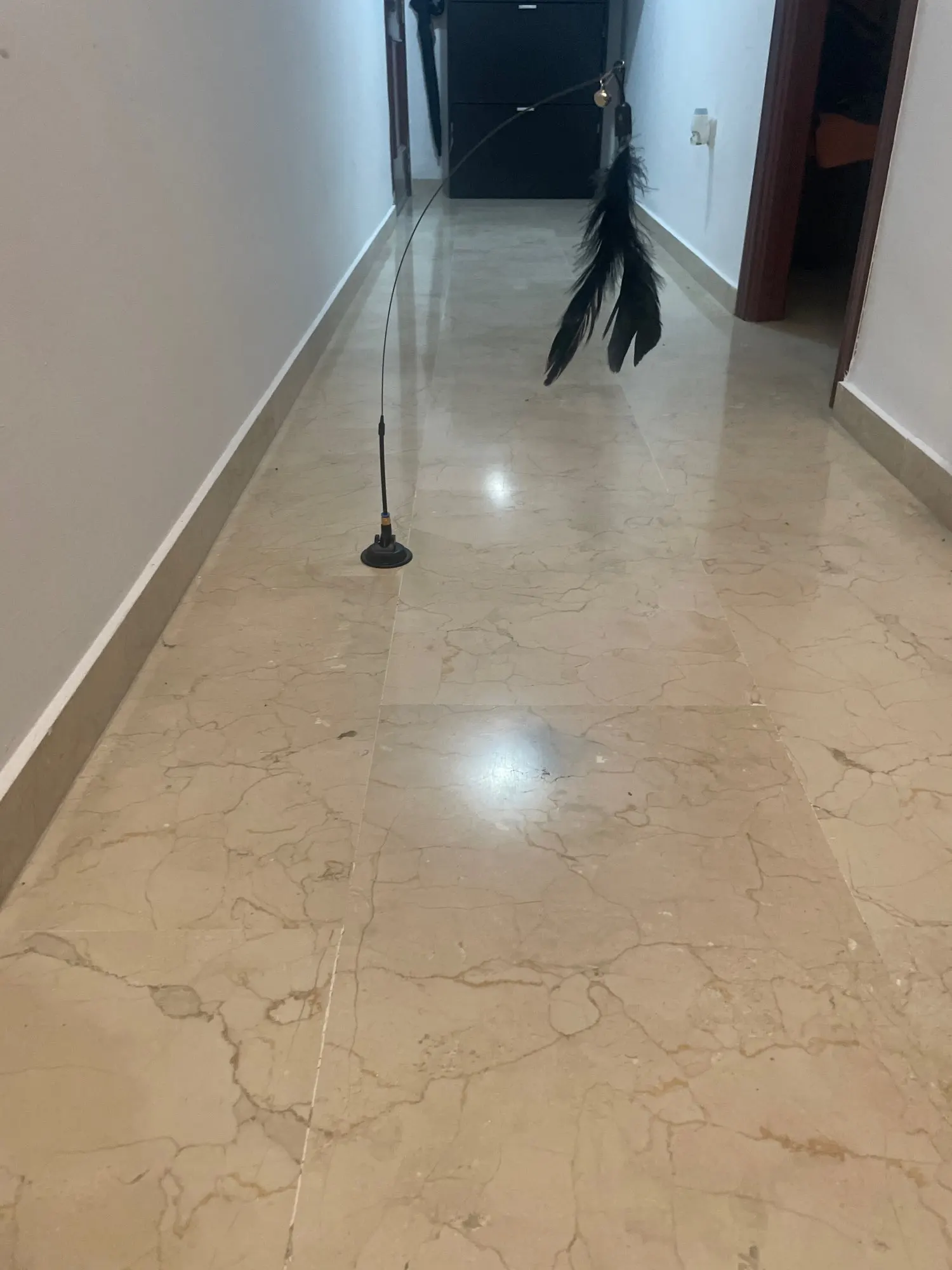 Feather Fun Cat Wand photo review