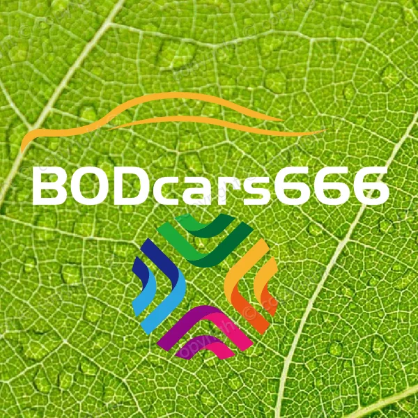 BOD Cars666 Store