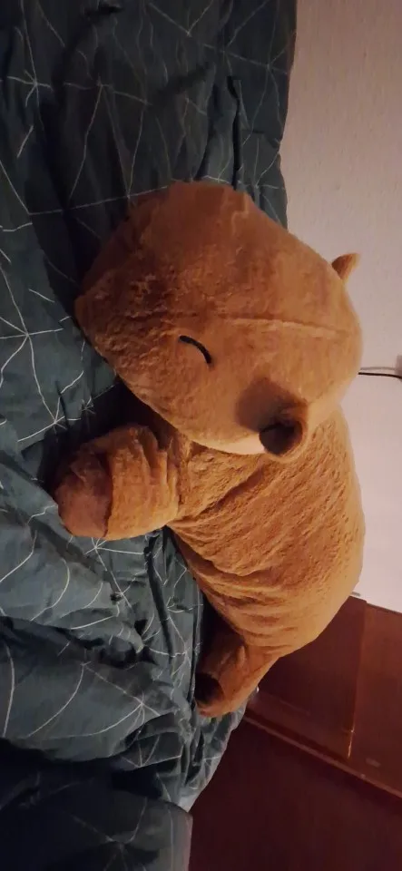 Capivara Fofeza® de Pelúcia – Estilo Almofada