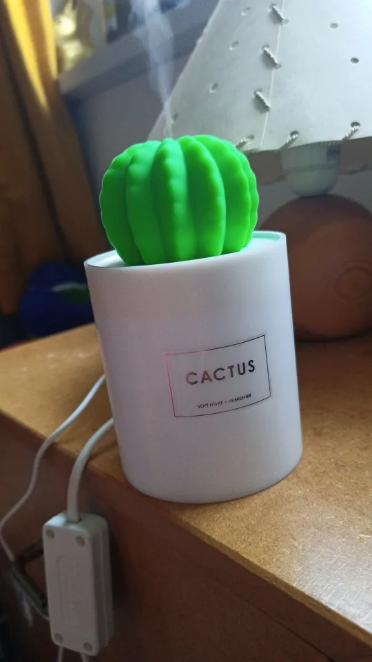 Cactus Diffuser 280ML Air Humidifier Soft LED photo review