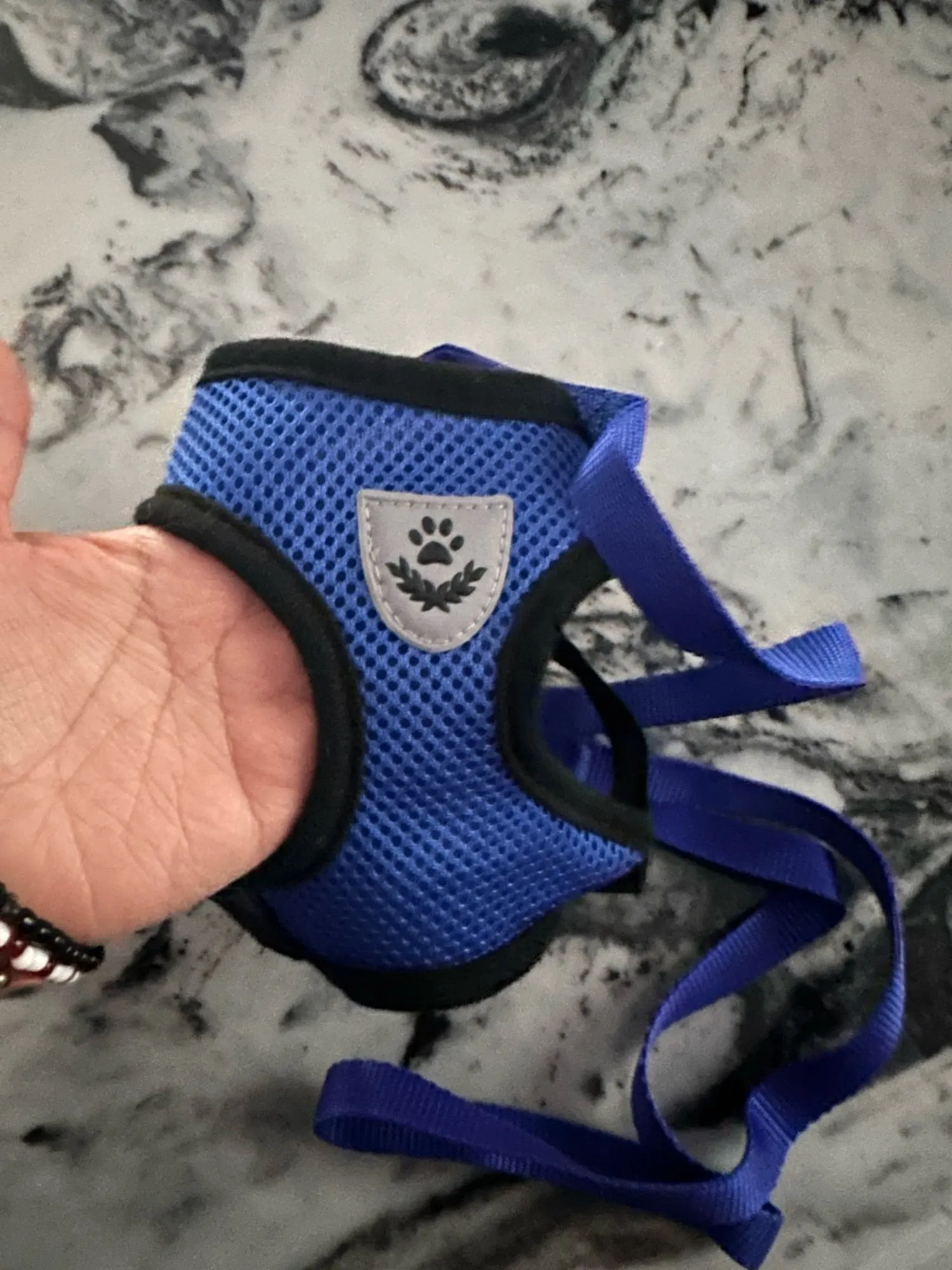 Summer Cat Dog Harness Lead Leash Adjustable Vest Polyester Mesh photo review