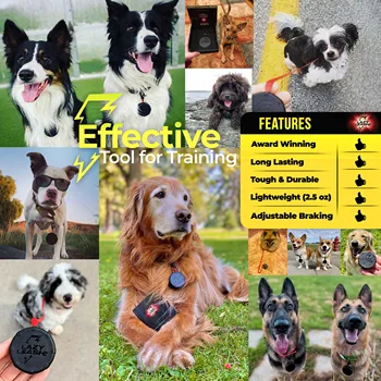 Safe & Easy Lightweight Heavy-Duty Wearable Mini Clip-On Adjustable Power Leash! Off-Leash Dog Walking Hiking Training & Travel 3