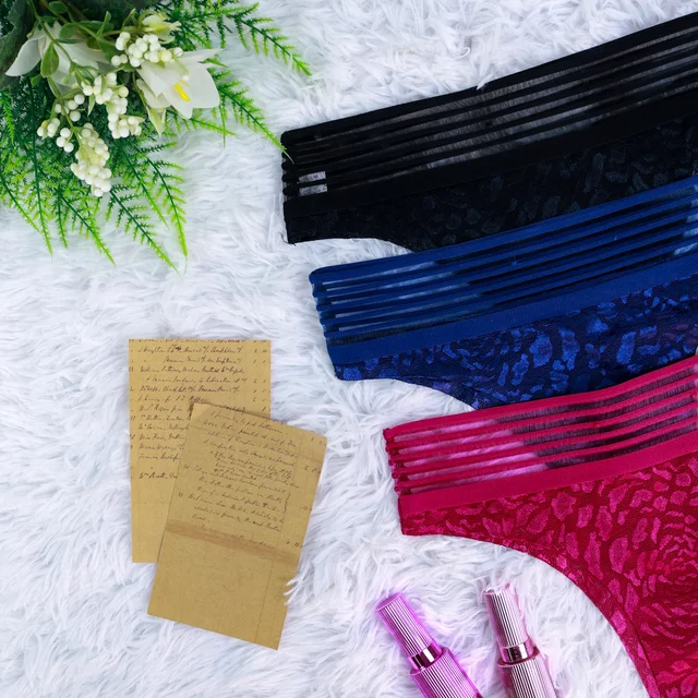 Calcinha KIT 3 pçs Feminina Renda Estampada Lingerie Cintura Baixa Sexy Confortável Transparente