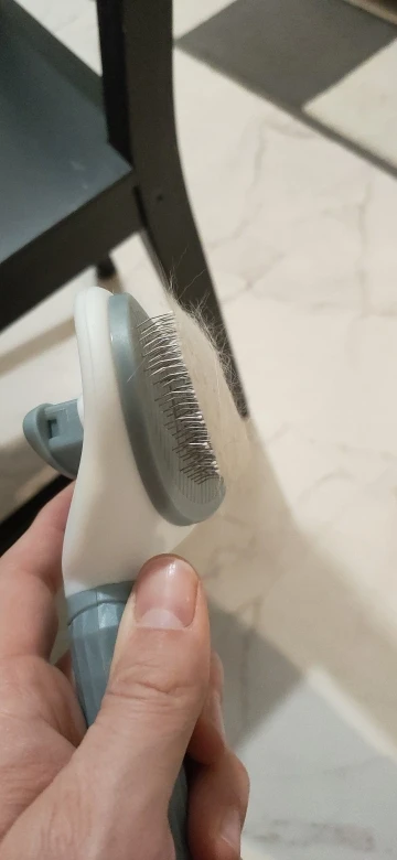 Review picture