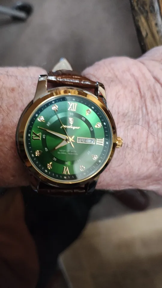 POEDAGAR Luxury Man Wristwatch photo review