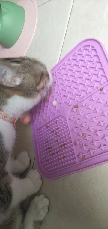 Pet Licking Mat Silicone Pet Food Suction Cup Slow Feeding Mat