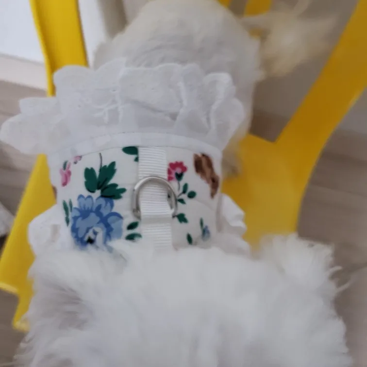Cute Dog Princess Dress Skirt Walking with Leash photo review