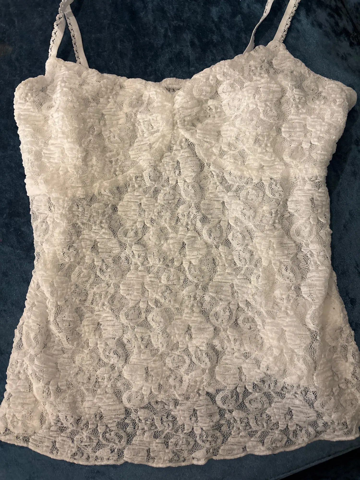 Elegant Lace Crop Top for Summer - Sheer Spaghetti Strap Charm photo review