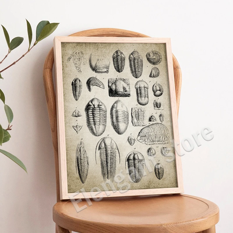 Vintage Paleontology Wall Art: Trilobite & Ammonite Canvas Painting Decor