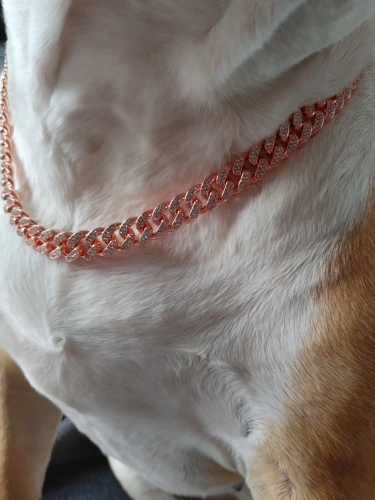 Diamante Dog Collar photo review