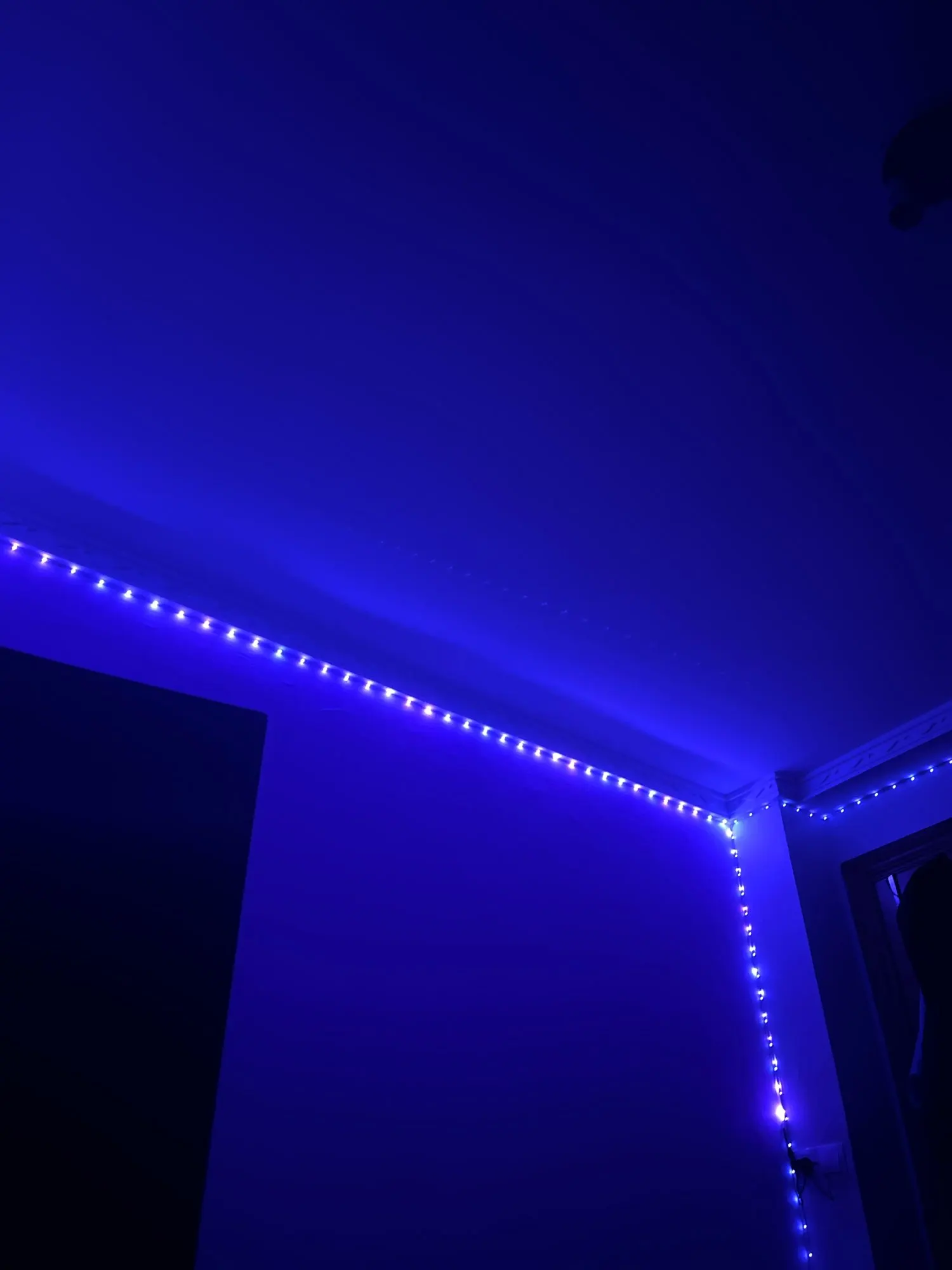 Led Strip Lights Music Sync Led Lights Room with APP Control, Flexible Ribbon Tape Lights for Home Party Decor TV Backlight photo review