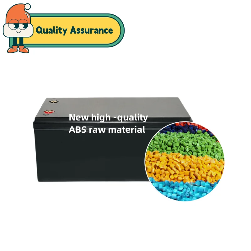 LiFePo4 250Ah 배터리 박스 리튬 배터리, 12V 200Ah 250Ah 300Ah 보관함, ABS 케이스 정리함, 에너지 태양, RV 등에 적용
