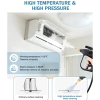 220VCommercial Household 3000W Steam Cleaner Adjusted Function Air Conditioning Kitchen Hood Car Steaming Cleaner Alkaline Clean 2