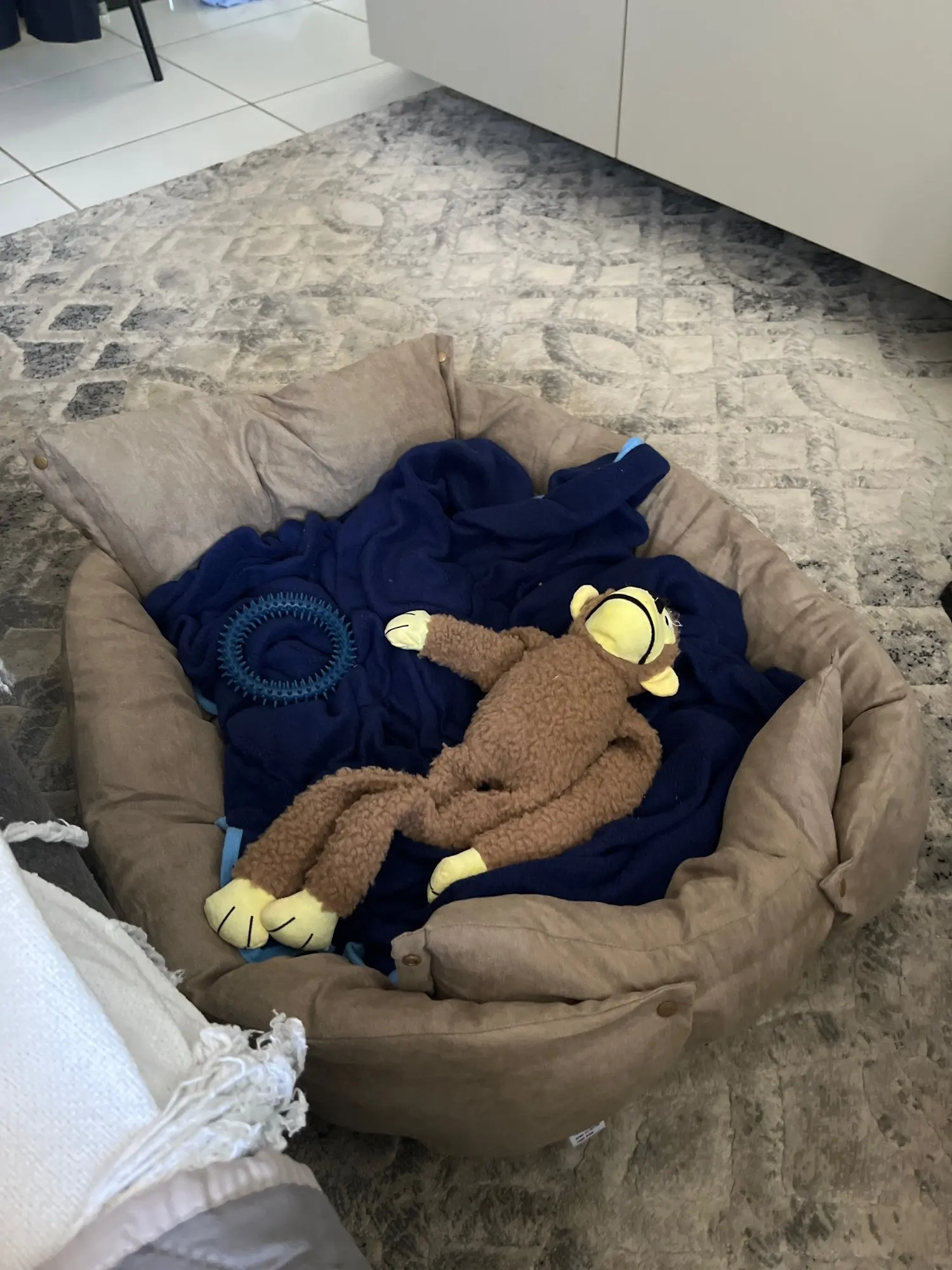 3-in-1 Cozy Haven: Multifunction Dog Bed Mat for Winter Warmth photo review