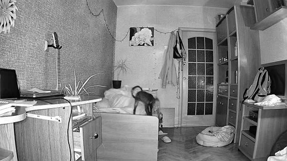 Boykeep 2K Pet Dog Camera with Phone App, 5G/2.4GHz WiFi Indoor Security Baby Camera, 360° Pan & Tilt, 2-Way Audio, Night Vision photo review