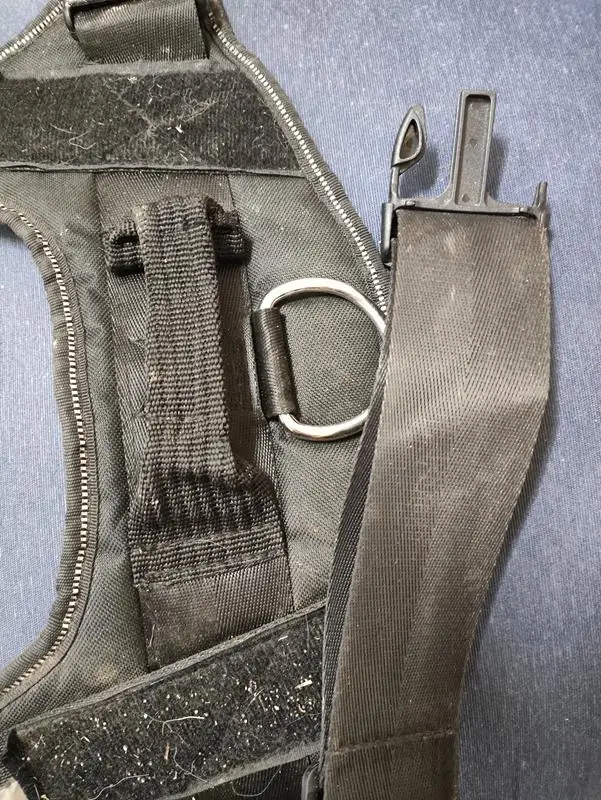 Arnés de perro personalizado sin tirones, chaleco reflectante y transpirable para mascotas pequeñas y grandes, accesorios de entrenamiento para caminar al aire libre photo review