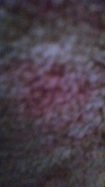 FrostShield Handschuhe – Warm, Wasserdicht & Reflektierend für jedes Winterabenteuer photo review