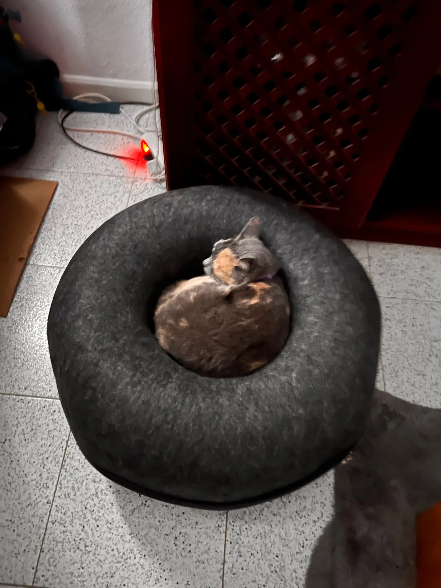 Felt Donut Bed for Cats House With Breather Hole Dog Bed Interactive Play Toys for Cats to Hide 2 in 1 Tunnel for Cats Bed photo review