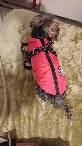 Chaqueta cálida de invierno para perros con arnés, abrigo impermeable para perros, chaleco para Chihuahua pequeño y mediano, Bulldog Francés, ropa para perros al aire libre photo review