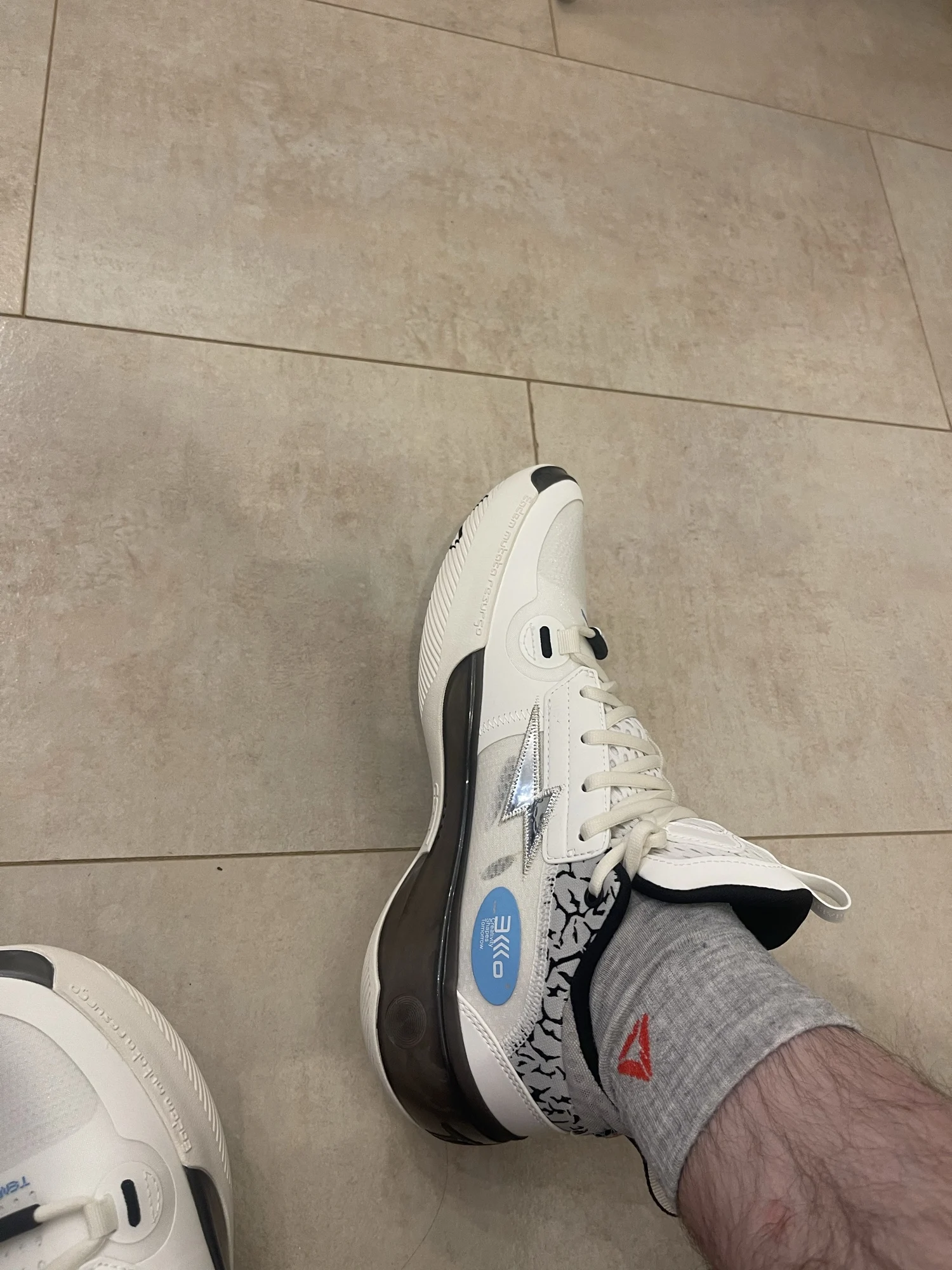 LI-NING Way of Wade 10 Tênis de Basquete Profissional DWADE ABAS083